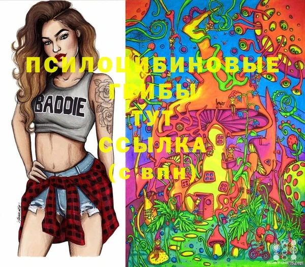 дживик Елизово