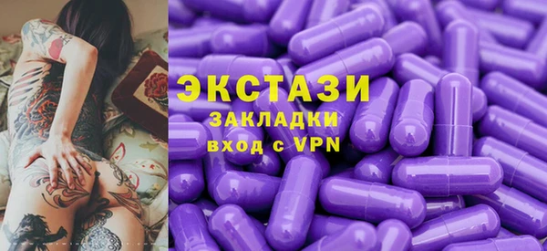 гидра Ельня