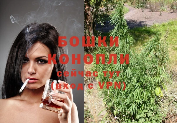 дмт Кинешма
