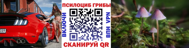 Псилоцибиновые грибы мицелий  Тайшет 